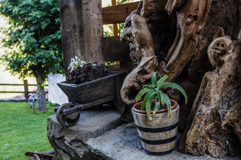 La Posada De Cucayo Добрес Экстерьер фото